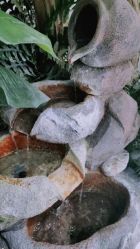 -健身堂科技美肌SPA