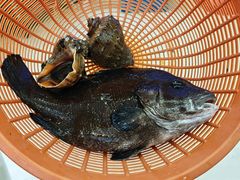-鑫鸿达·海鲜闽菜热炒小馆(中山路店)