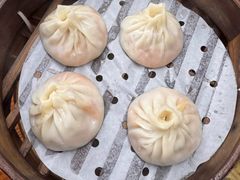 -莱莱小笼·乔艾