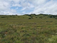 -塞罕坝国家级自然保护区