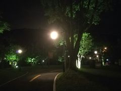 -达蓬山温泉