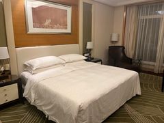 -常州武进九洲喜来登酒店