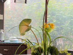 -后海彼岸花园餐厅