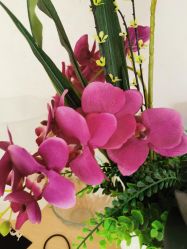 点击看大图 -薇兰专业脱毛连锁机构