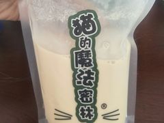 -猫的魔法密林(衣裳街店)