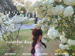 -大龙山(地铁站)