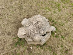 -田园东方蜜桃村的田野营地