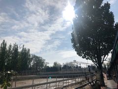 -大连凯洋马术俱乐部有限公司