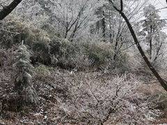 -江南天池