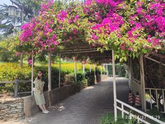 -南诏风情岛