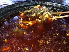 -金海椒罐罐鲢鱼(东方桂苑店)