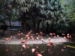 -东部华侨城