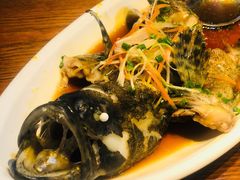 清蒸老虎斑-南海渔家•海鲜•正宗海南菜(海棠湾店)