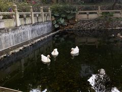 -国恩寺