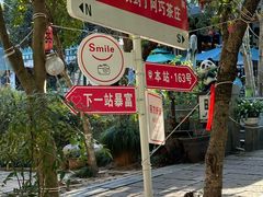 -阿巧茶庄