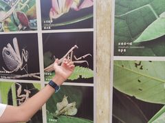 -中国科学院西双版纳热带植物园
