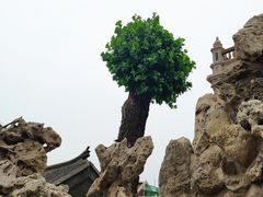 -张学良旧居陈列馆