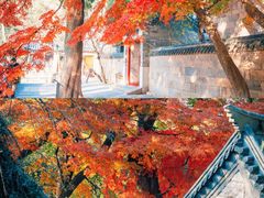 -青岛崂山太清宫