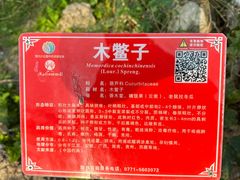 -广西壮族自治区药用植物园