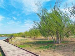 -西青郊野公园