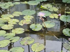 -国家植物园南园