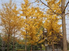 -长安大学(北校区)