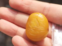 -金栗王(清扬路店)