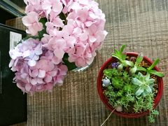 -MAISON门前杂货店