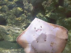 -杭州海底世界