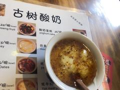 -古树酸奶(八廓南街店)