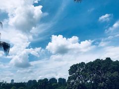 -东莞植物园