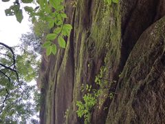 -丹东天桥沟景区