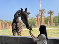 -泉城欧乐堡梦幻世界