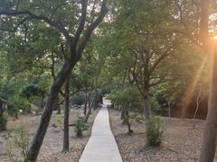-大雁山风景区