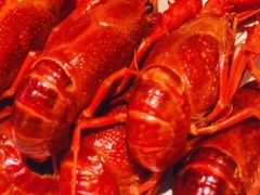 -霸王虾·麻辣小龙虾(清水河公园店)