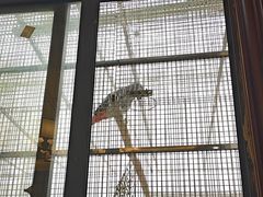 -观桥阁(锦溪店)