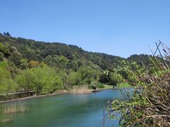 -宁波五龙潭景区