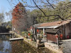 -巢湖名吃·徽府农家菜(半汤店)