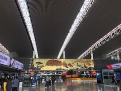 -合肥新桥国际机场-航站楼