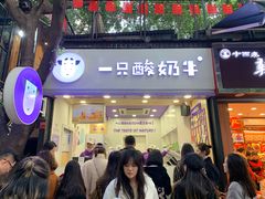 门面-一只酸奶牛(八一路店)