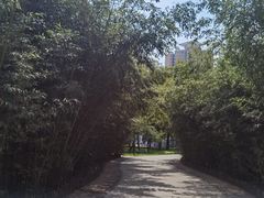 -莲花池公园