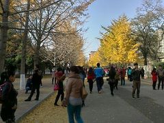 android_upload_pic-辽宁大学(崇山校区)