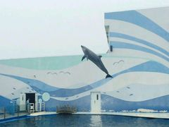 -北戴河圣蓝海洋公园