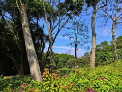 -梧桐山风景名胜区