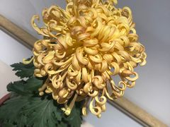 -汇龙潭