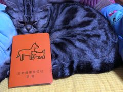 -瑞派福兴宠物医院犬猫全科·骨科·中西医结合(河东店)