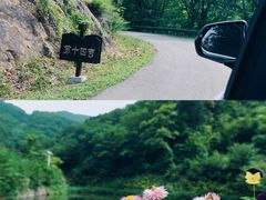 -天女山森林公园
