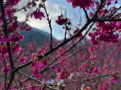 -福清灵石山国家森林公园