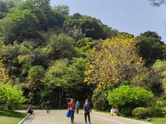 -云溪植物园