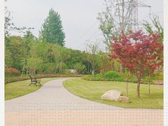 -昆山城市生态森林公园